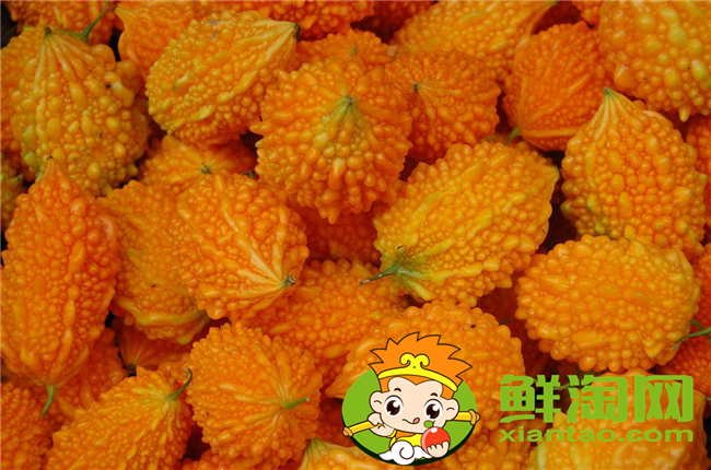 金鈴子吃什么部分,金鈴子里面的蟲子可以吃嗎