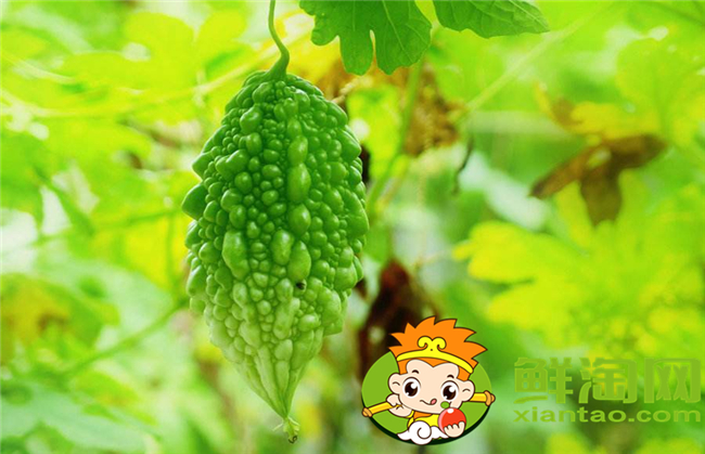 金鈴子黃了皮能吃嗎，金鈴子食用方法