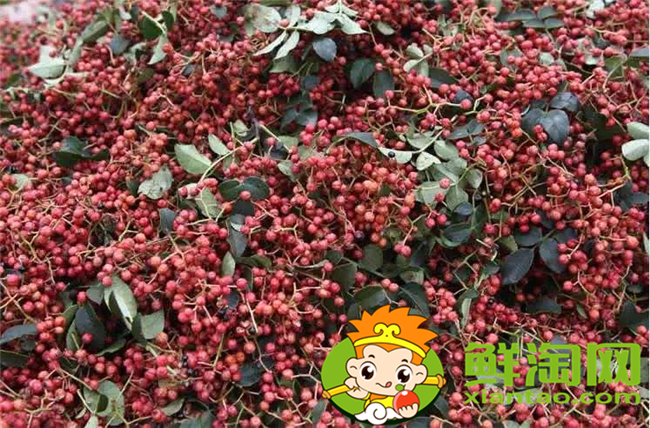 臭椒和大紅袍怎么鑒別，大紅袍花椒怎么鑒別好壞