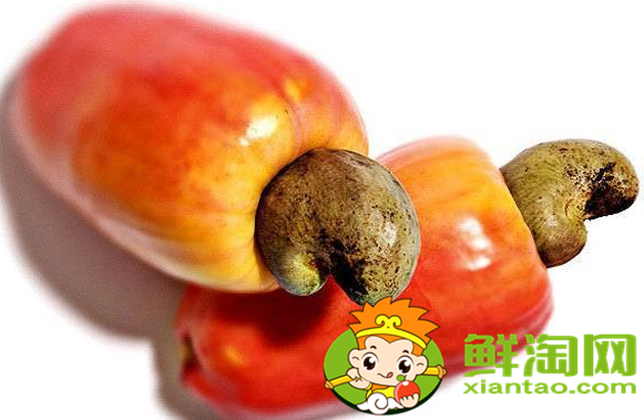 腰果最大的產(chǎn)地是哪里,腰果哪里產(chǎn)的質(zhì)量最好