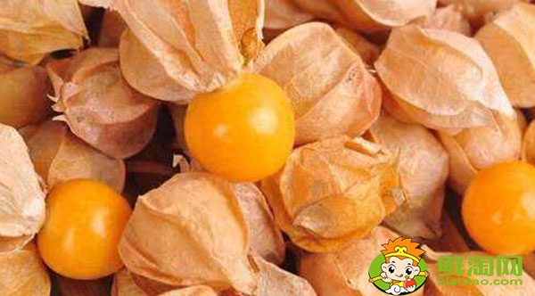 東北人說的姑娘是什么水果，金姑娘果什么味道