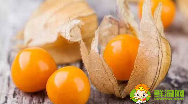 東北人說的姑娘是什么水果,金姑娘果什么味道