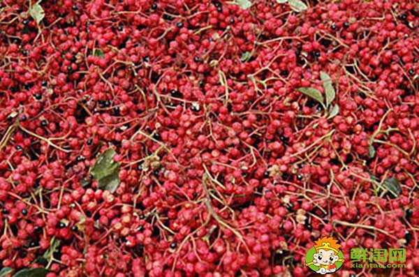 花椒葉有刺嗎，無(wú)刺花椒和有刺花椒那個(gè)產(chǎn)量高