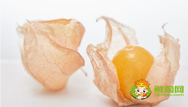 姑娘果幾月熟,姑娘果怎樣熟得快
