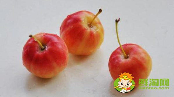 海棠果沒熟青果怎樣吃，沙果哪個地方的好吃