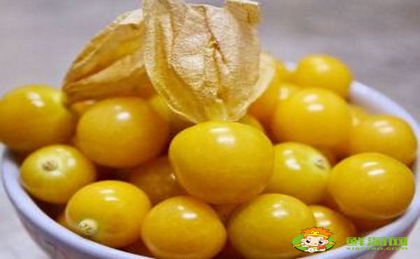 姑娘果是什么水果，姑娘果表皮有霉點(diǎn)能吃嗎