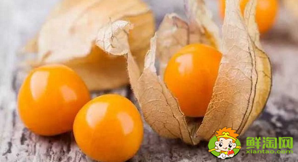 姑娘果是什么樣的，紅姑娘果與黃姑娘果的區別