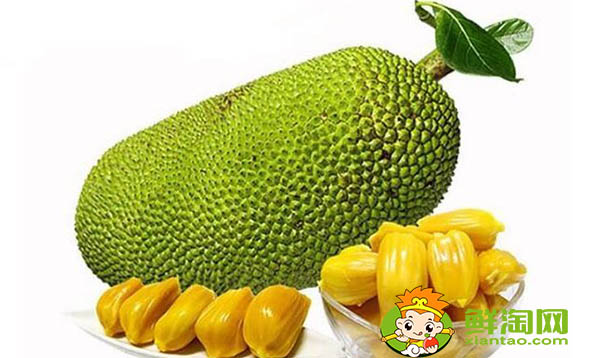 菠蘿蜜怎么保存才不壞，菠蘿蜜肉怎么保存
