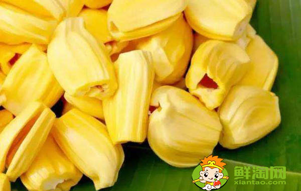 菠蘿蜜怎么保存才不壞，菠蘿蜜肉怎么保存