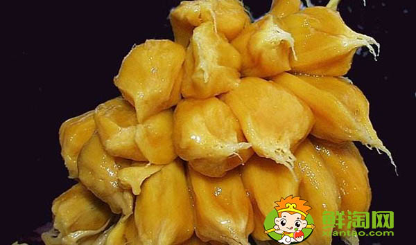 菠蘿蜜怎么保存才不壞，菠蘿蜜肉怎么保存