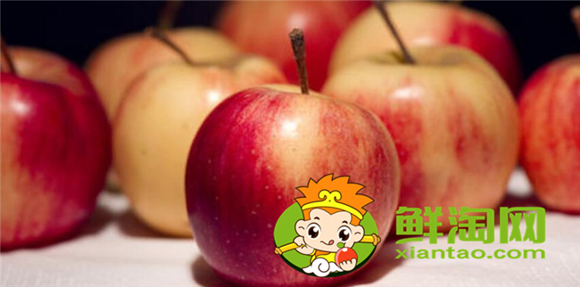 沙果是什么季節的水果，沙果屬于蘋果嗎