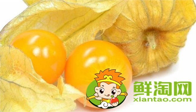 姑娘果和東北姑娘是一個嗎，東北姑娘果能放多長時間