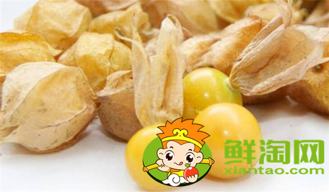 姑娘果和東北姑娘是一個嗎，東北姑娘果能放多長時間