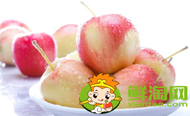 沙果是什么季節的水果，沙果屬于蘋果嗎
