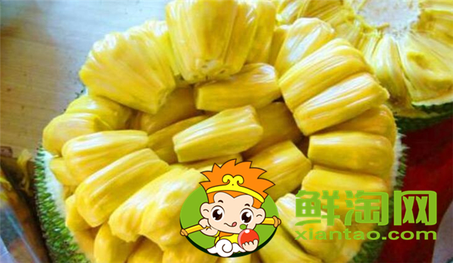 菠蘿蜜怎么剝皮，菠蘿蜜的膠怎么洗