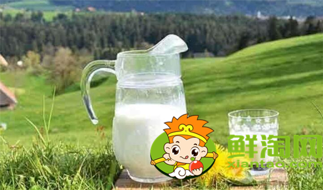 一只駱駝一年能產多少奶，駱駝奶喝一次多少才可以