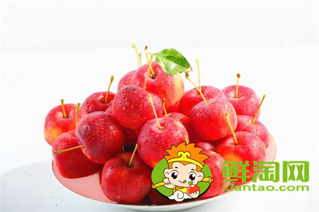 沙果是海棠果嗎,海棠果和沙果的區(qū)別