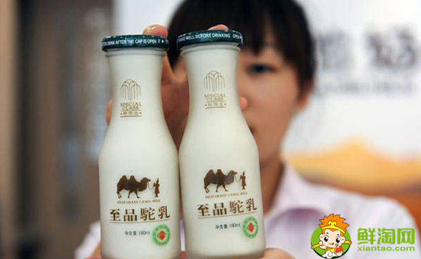 喝駱駝奶有什么好處，喝駱駝奶真的能長壽嗎