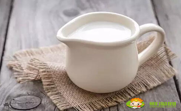 駱駝奶性溫還是性寒,血糖低可以喝駱駝奶嗎
