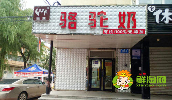 駱駝奶什么味道，駱駝奶和牛奶的營養價值哪個高