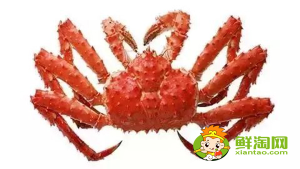 帝王蟹的蟹黃在哪里，帝王蟹為什么不吃黃