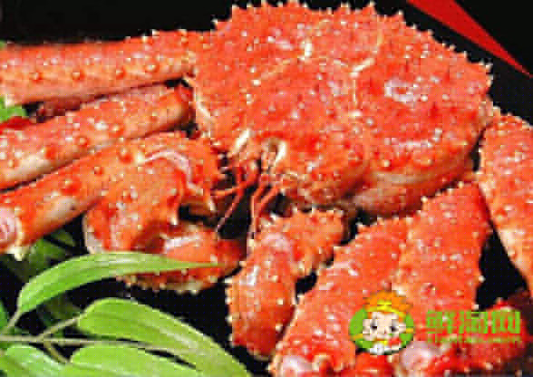 活帝王蟹怎么能養(yǎng)幾天,帝王蟹紅的和藍哪個貴