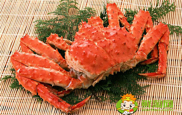 帝王蟹身體為什么不吃,帝王蟹為什么只吃腿