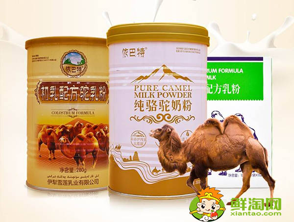 駱駝奶哪些人不能喝，喝駱駝奶禁忌