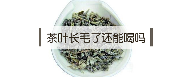 茶葉長毛了還能喝嗎