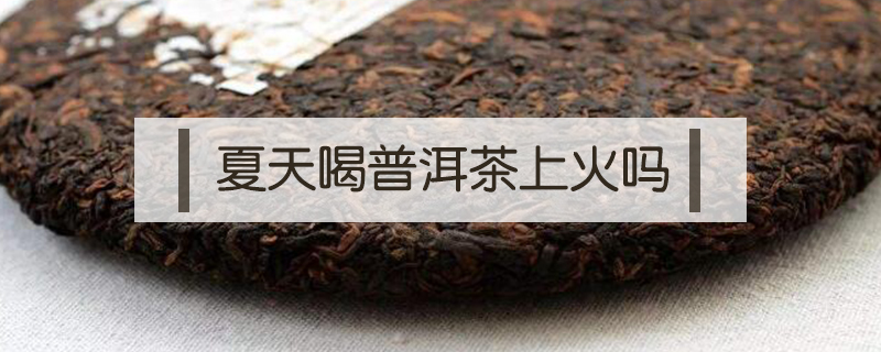 夏天喝普洱茶上火嗎