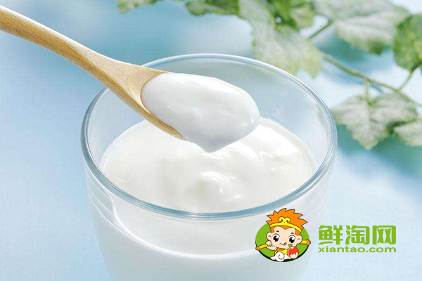 駱駝奶能做酸奶嗎，駱駝酸奶怎么做