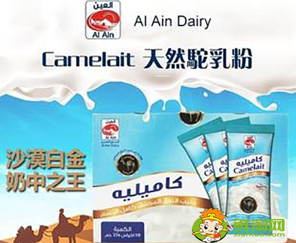 迪拜駱駝奶好喝嗎，哪里能買到好的駱駝奶