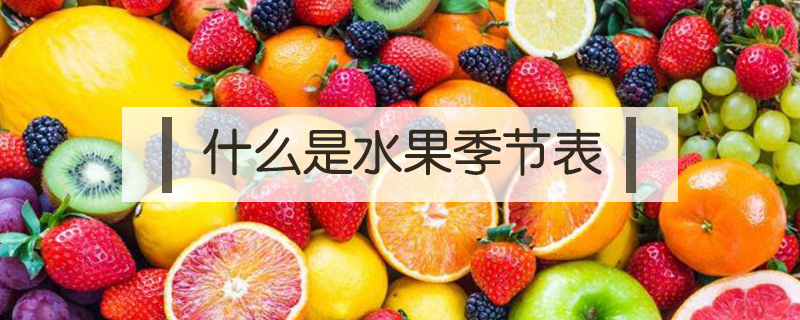 什么是水果季節表