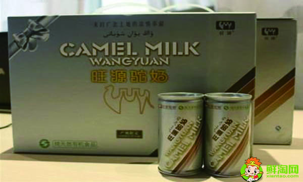 駱駝奶比牛奶好嗎，駱駝奶粉和牛奶粉有什么區別