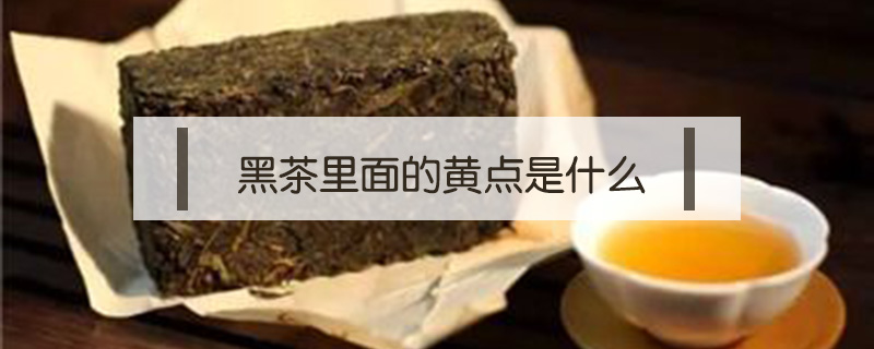 黑茶里面的黃點是什么