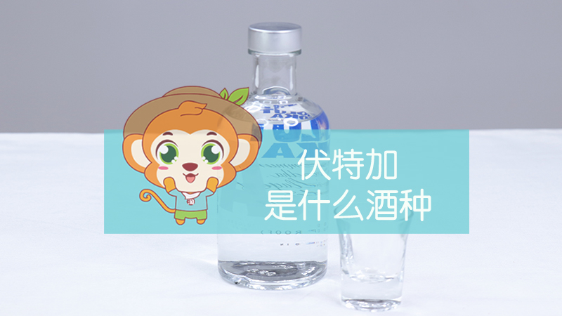 伏特加是什么酒種