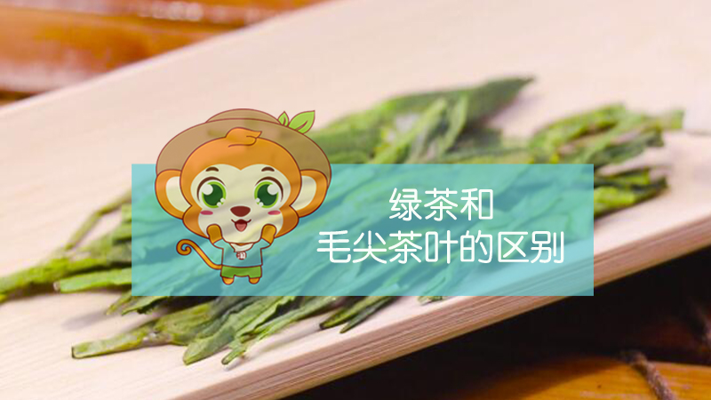 綠茶和毛尖茶葉的區別