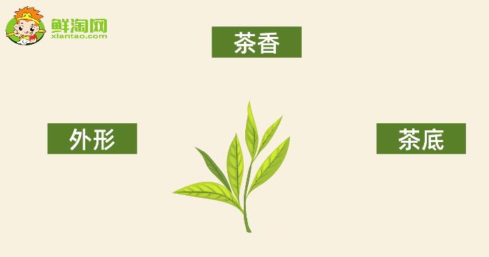 怎樣辨別春茶