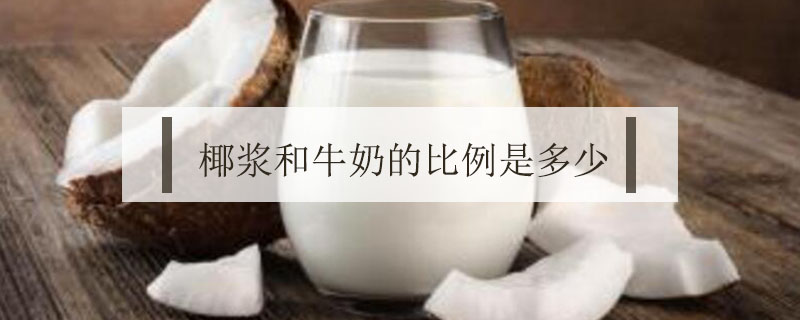 椰漿和牛奶比例是多少