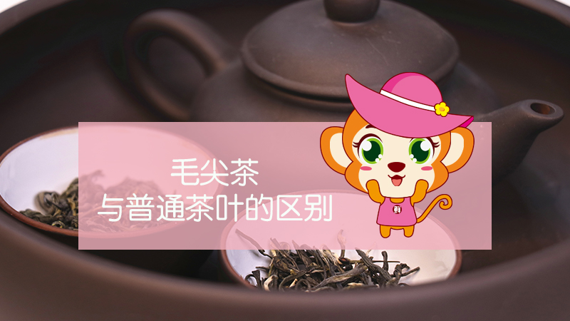 毛尖茶與普通茶葉的區別