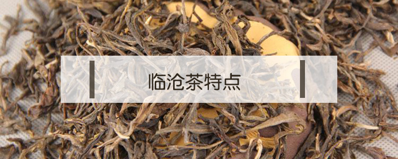 臨滄茶特點