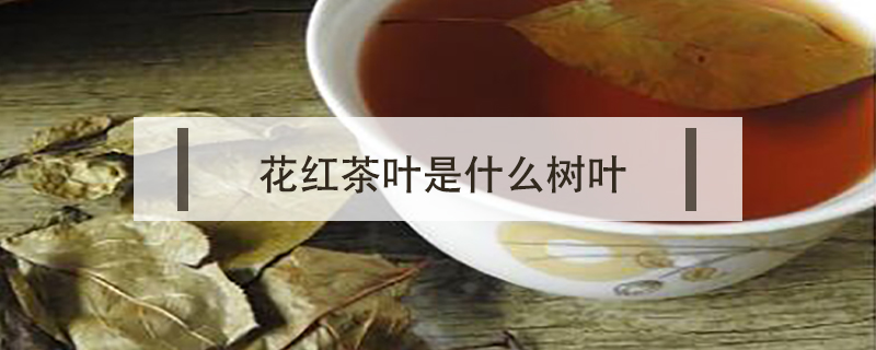 花紅茶葉是什么樹葉