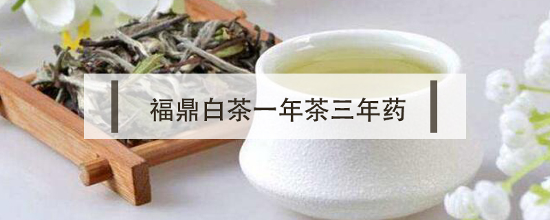 福鼎白茶一年茶三年藥