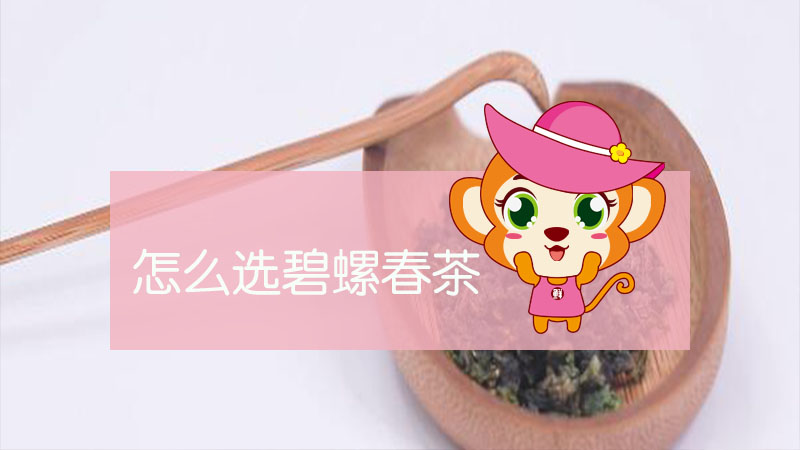 怎么選碧螺春茶