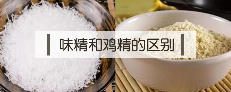 味精和雞精的區別