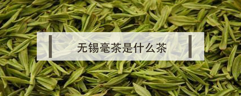 無錫毫茶是什么茶