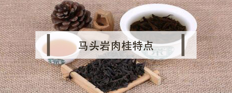 馬頭巖肉桂特點