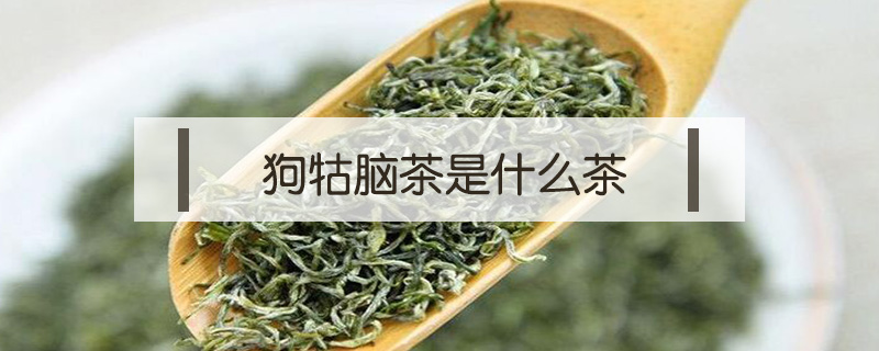 狗牯腦茶是什么茶