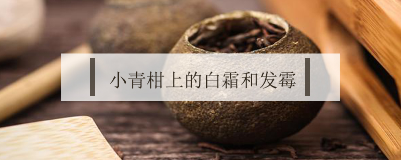 小青柑上的白霜和發(fā)霉