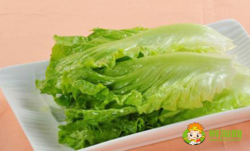 生菜可以生吃嗎,生菜的種植方法和時間